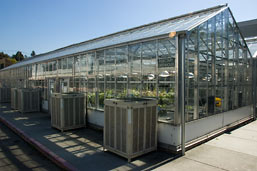 Image of Insectary Greenhouse
