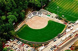 Image of Levine-Fricke Softball Field