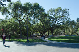 Image of Observatory Hill