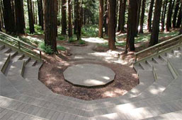Image of Redwood Grove (Botanical Garden)