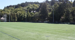 Image of Witter Rugby Field